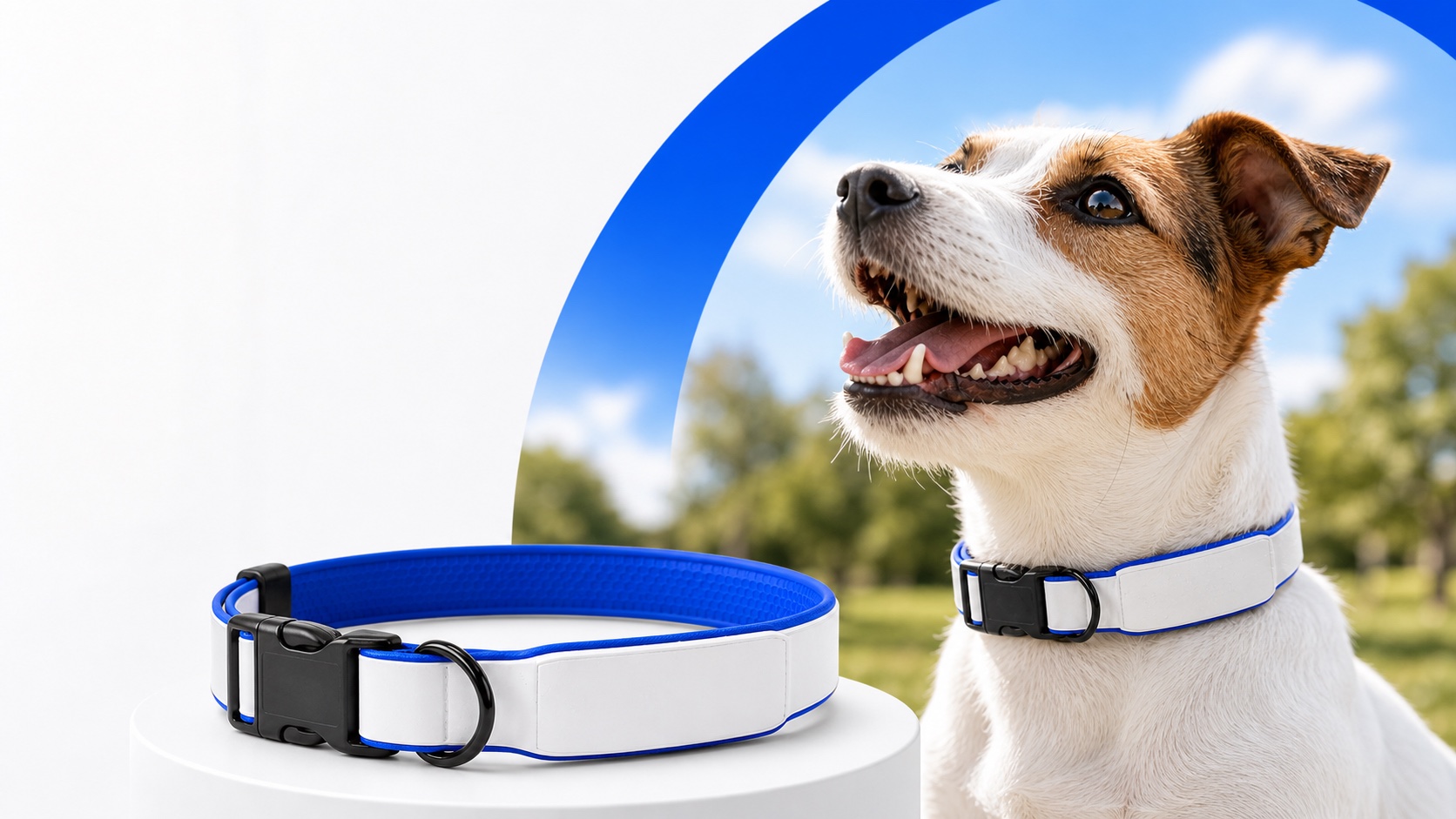 Cachorro usando a coleira inteligente Apontou Pet em um parque